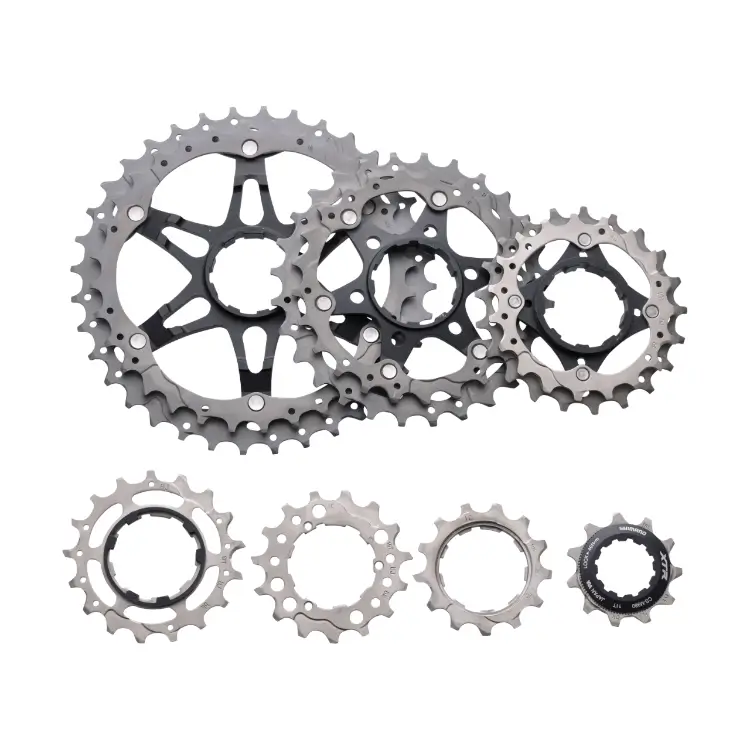 pinon_de_bicicleta